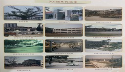 轉型時期照片照片系列，共計2張照片