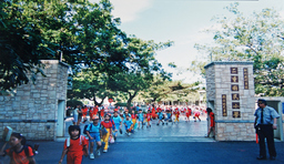 轉型時期照片照片系列，共計2張照片