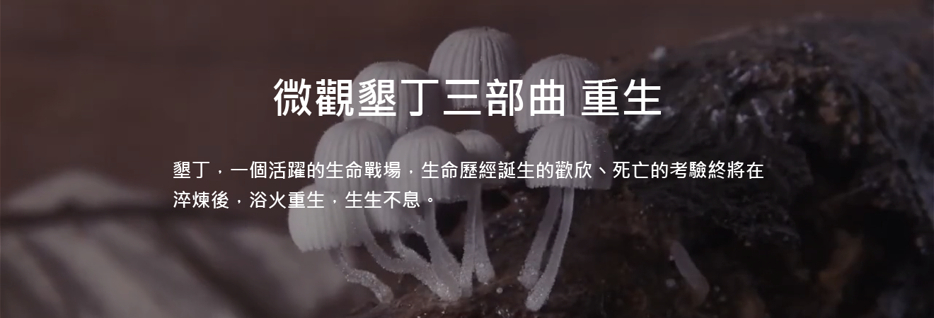 微觀墾丁三部曲 重生 影片代表圖